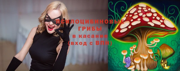 дмт Богородск