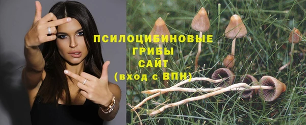 гидропоника Беломорск