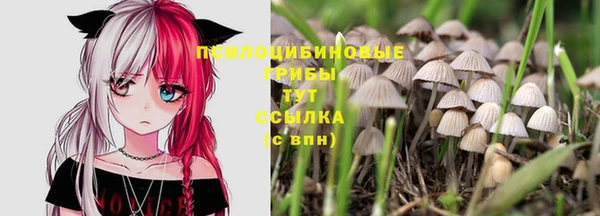 бошки Снежинск